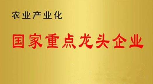 國家重點龍頭企業！山東三星集團連續上榜